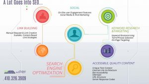 SEO infographics