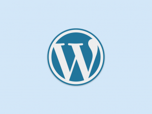 wordpress website